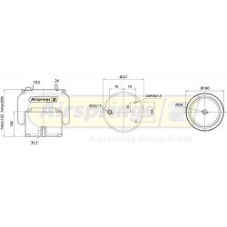 AIRSPRING COMPLETE -  DAF