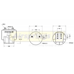 AIRSPRING COMPLETE - BPW (TYPE-30K)