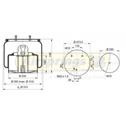 AIRSPRING COMPLETE - DAF