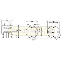 AIRSPRING COMPLETE - DAF DENNIS HENDRICKSON (TAG AXLE)