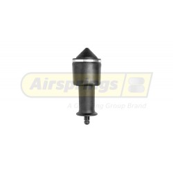 CABIN AIRSPRING ASSEMBLY - RENAULT