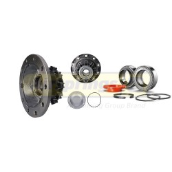 HUB & FAG BEARING ASSEMBLY (RIU) - DAF