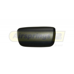 DAF MAIN MIRROR BACKING