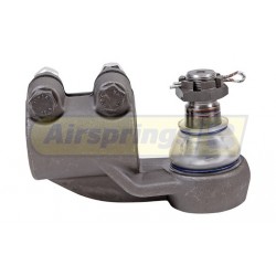 TIE ROD END - DAF