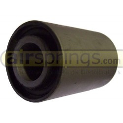 GRANNING SPRING BUSH